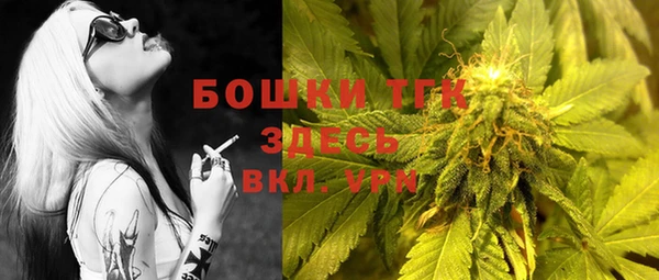 стаф Ступино