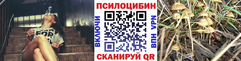 закладки  площадка формула  Галлюциногенные грибы GOLDEN TEACHER  Кашира 